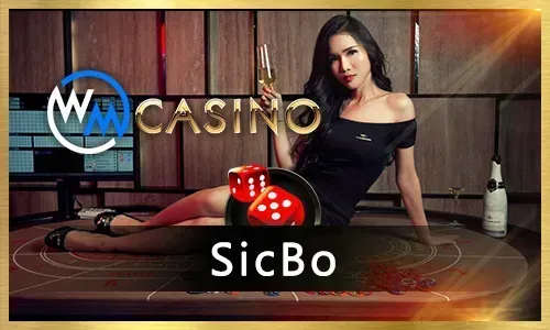 Diverse Gaming Portfolio